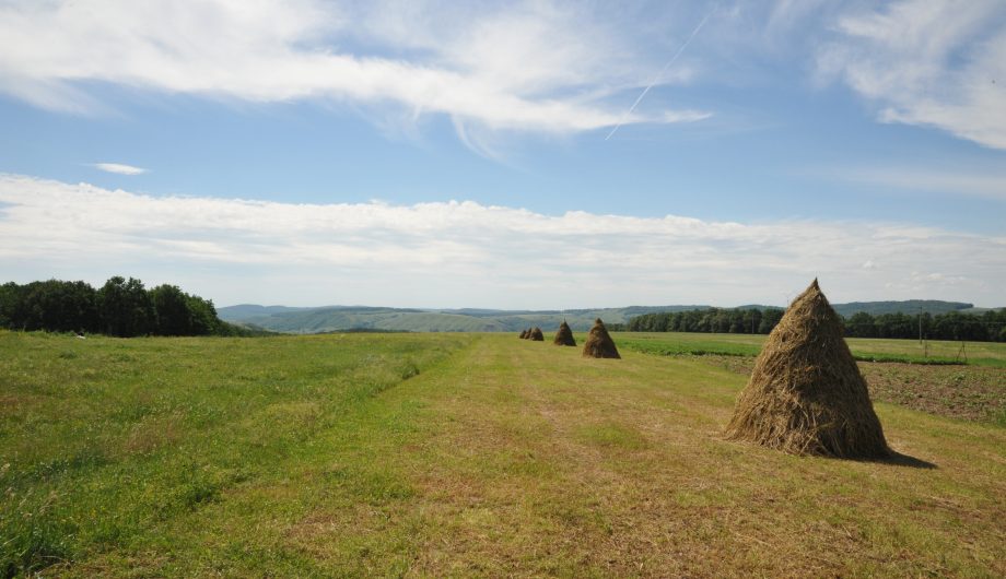 Romanian countryside